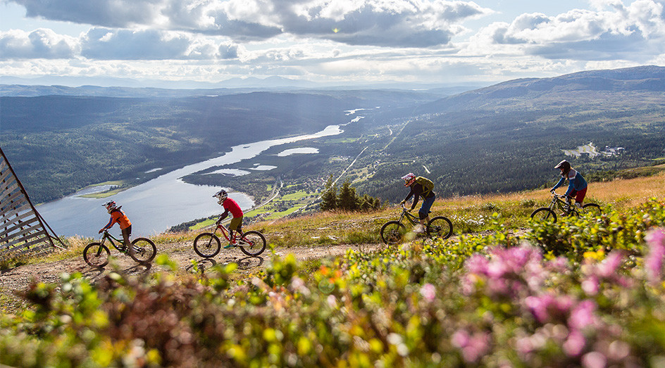 Downhillcykling i Åre